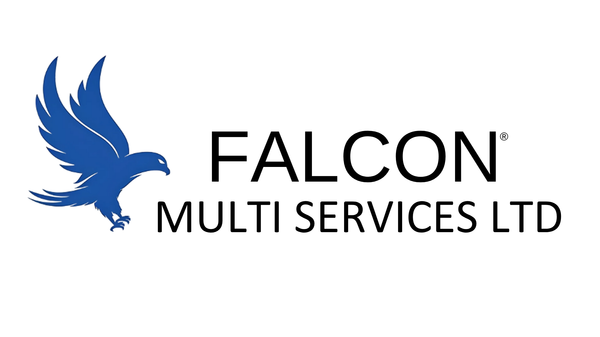 Falcon_MSL logo (1)