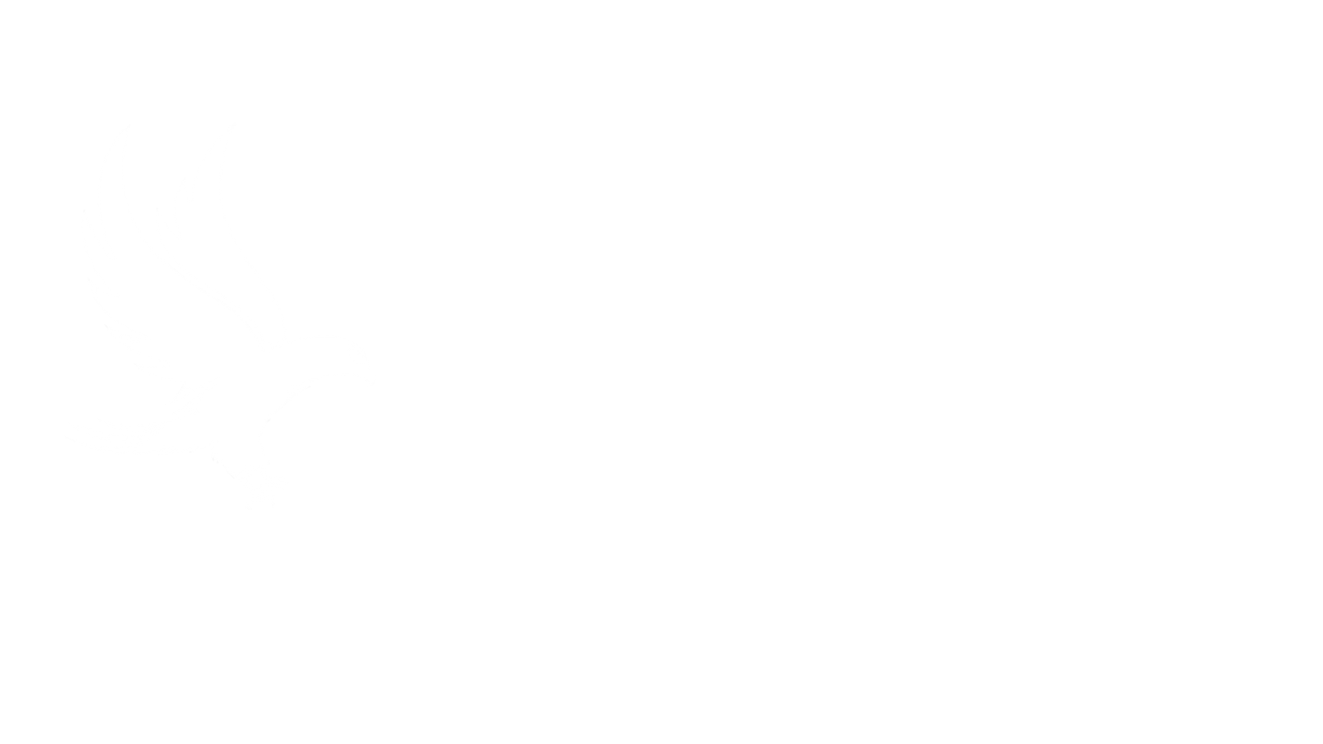 Falcon_MSL logo_ white